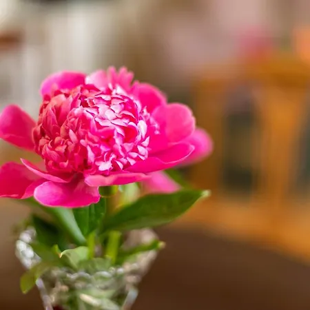 Апартаменты Kleiner Hof Rosenrot *