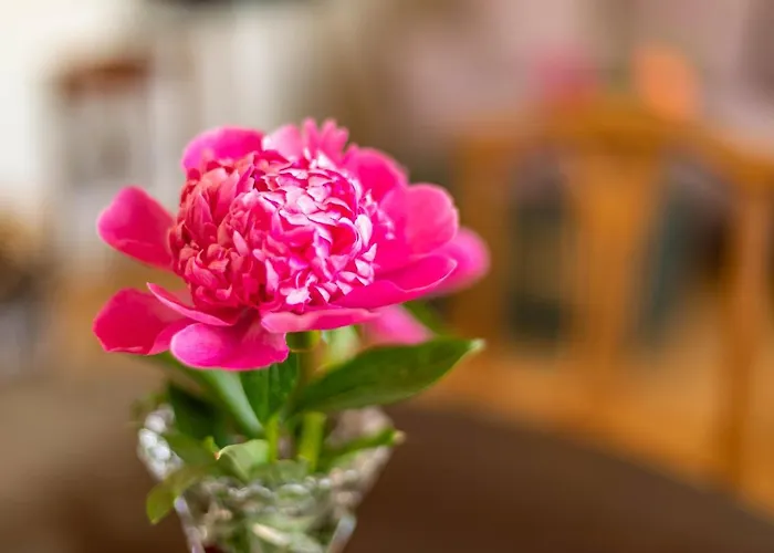 Lägenhet Kleiner Hof Rosenrot *