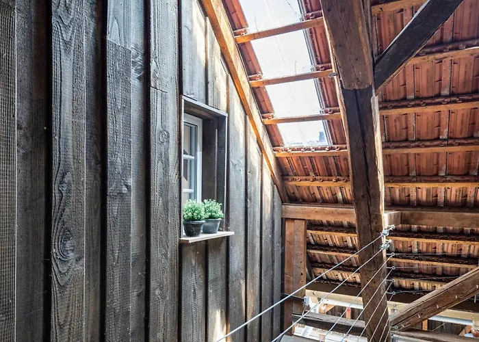 Kleiner Hof Rosenrot